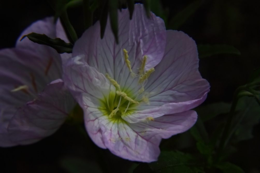 2012 05 27 4502